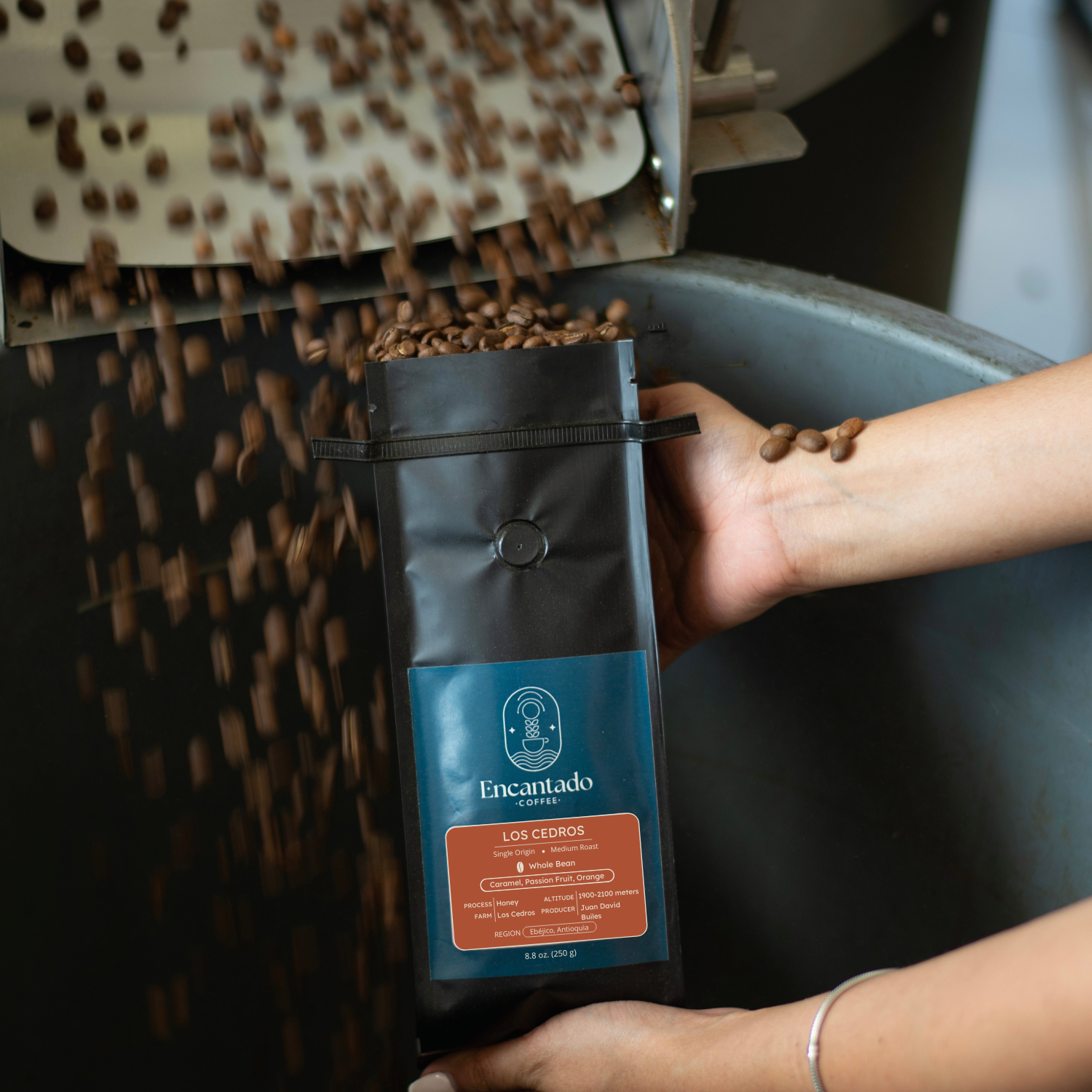 Two outstretched arms hold an open bag of Los Cedros coffee under a roasting machine as it fills with roasted coffee beans. 